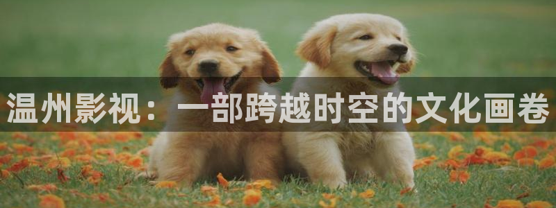 星辰影院一路向西