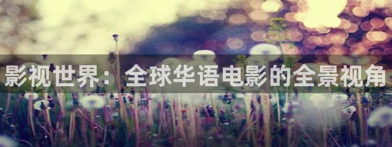 三大队电视剧星辰影院