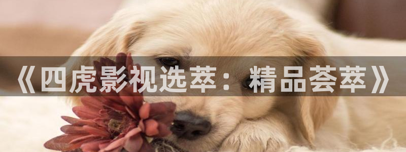 野花视频在线观看星辰影院